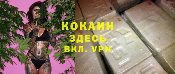 ECSTASY Богородск