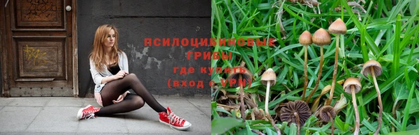 мяу мяу мука Богородицк