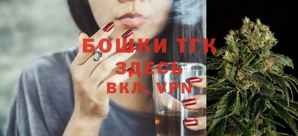 ECSTASY Богородск