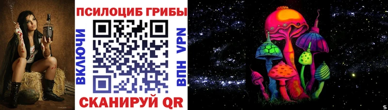 наркота  Белёв  Псилоцибиновые грибы Psilocybe 